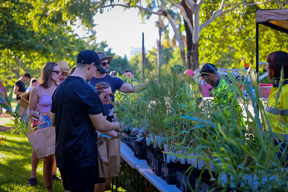 Free Plants Available For Darwin Residents 9 October The National Tribune